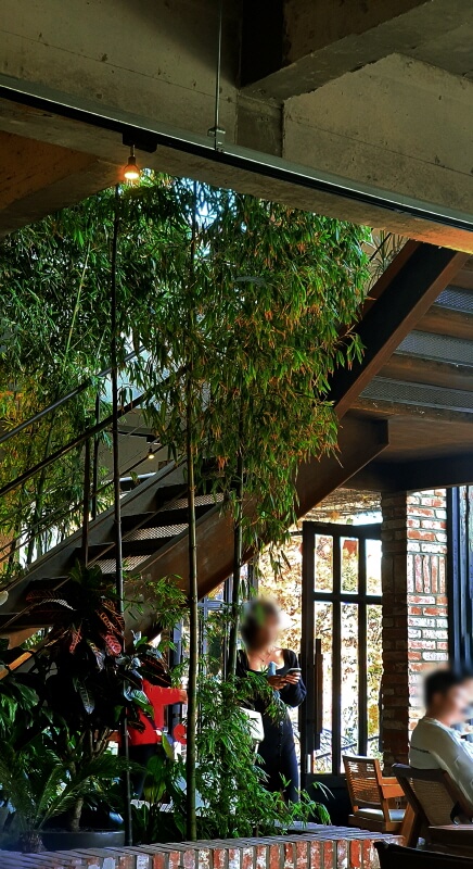 대너리스-카페-대나무