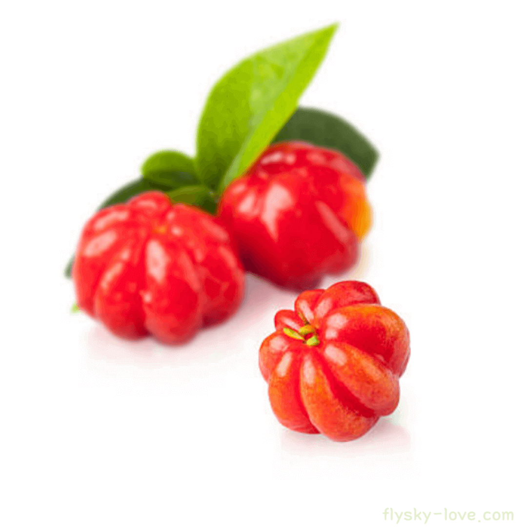 피탕가 (Pitanga), 수리남 체리