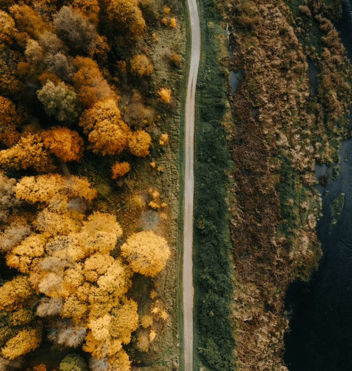 실손보험 청구 전산화