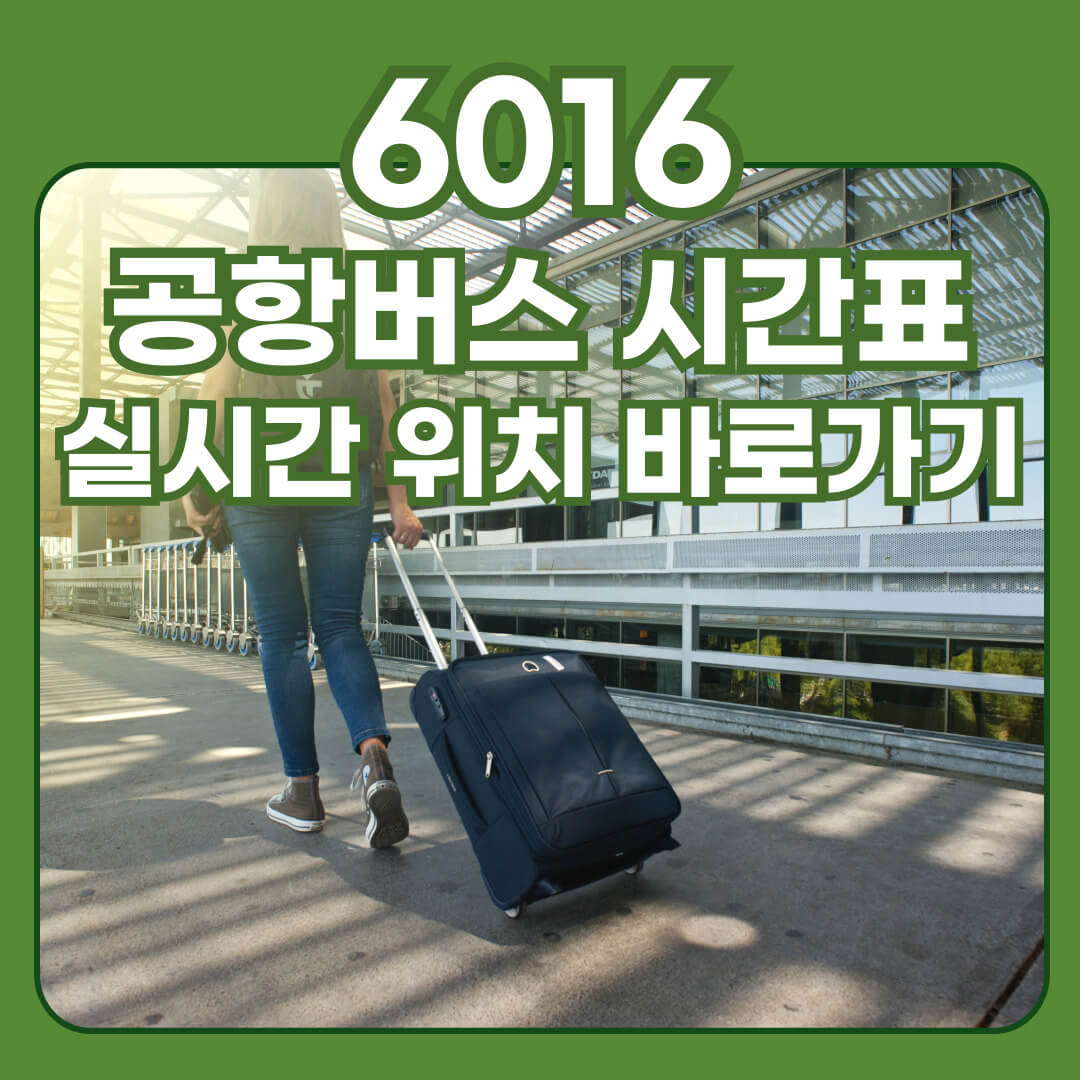 6016 공항버스 시간표, 요금, 실시간 위치 확인 방법