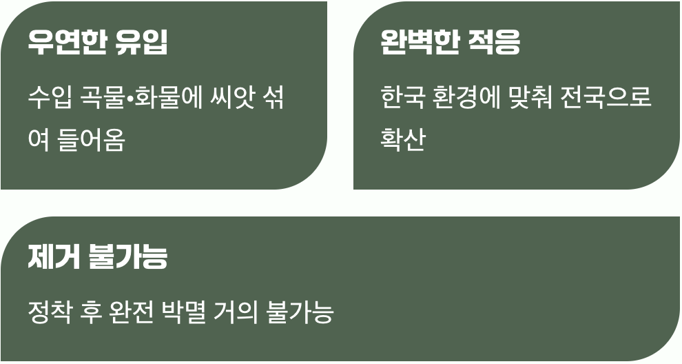 원치 않게 시작된 동거