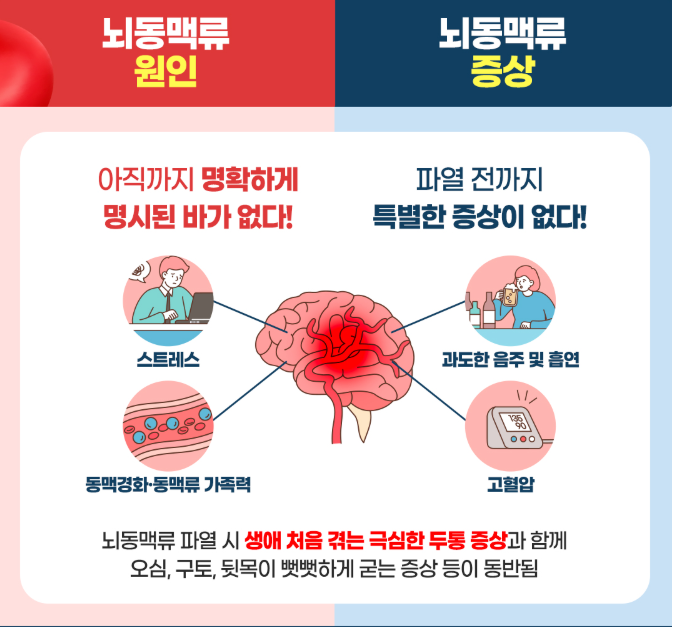 뇌동맥류-원인-및-증상