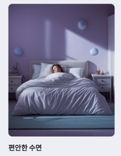 돼지감자차-사진4