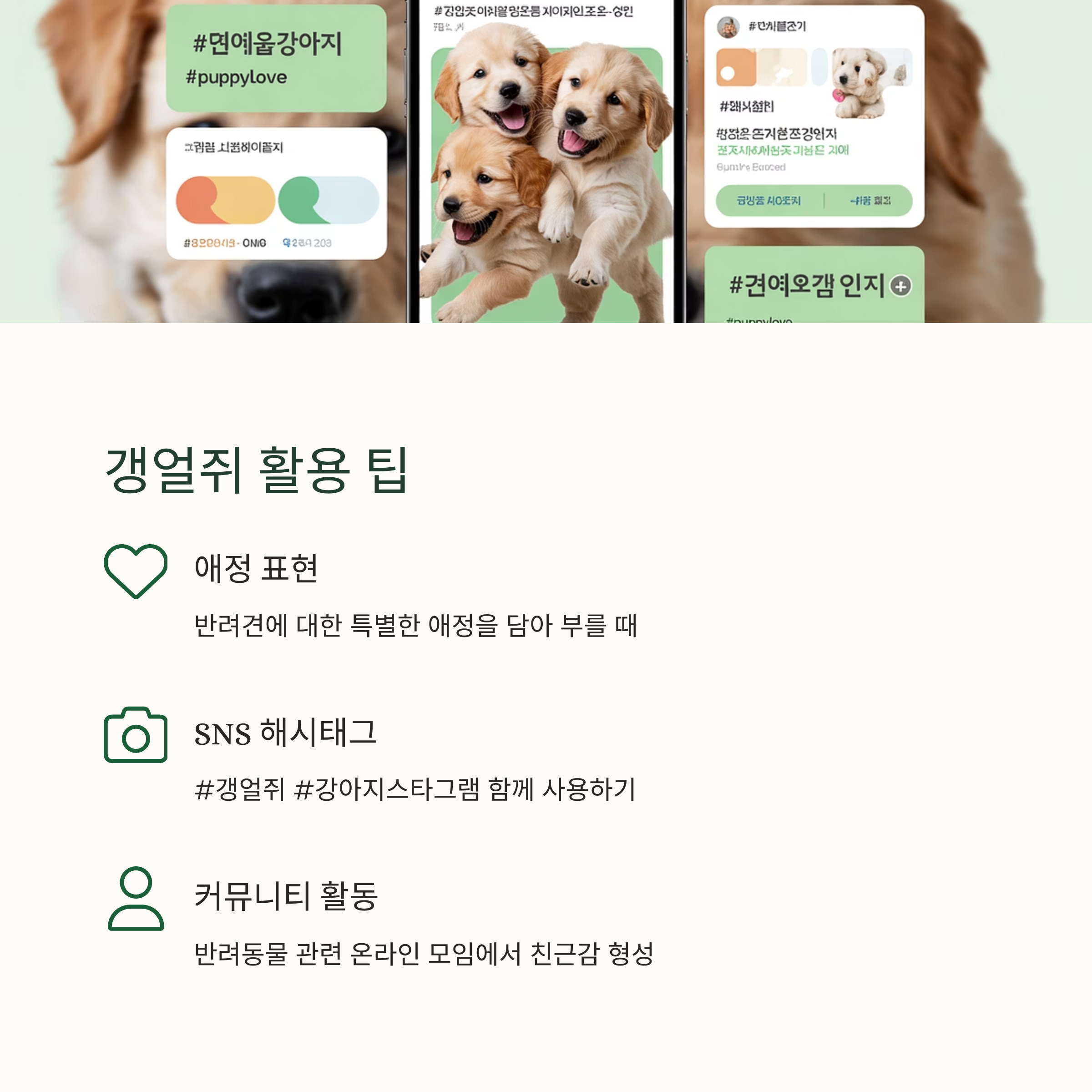갱얼쥐