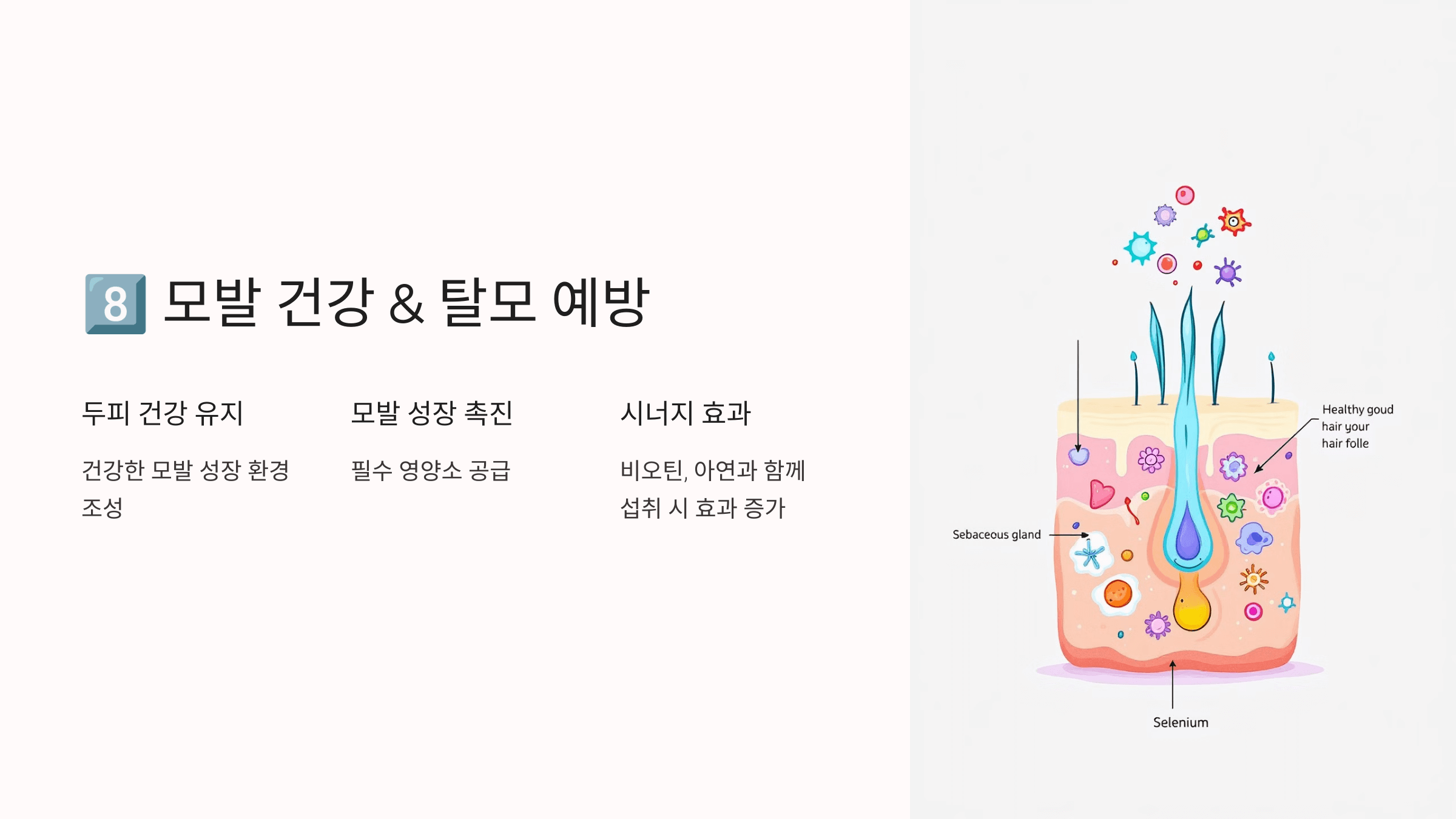 셀레늄과 관련된 사진입니다.