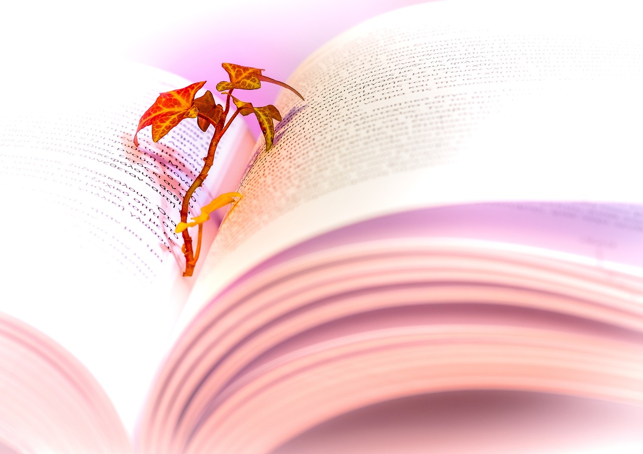 종이책의 장점과 단점