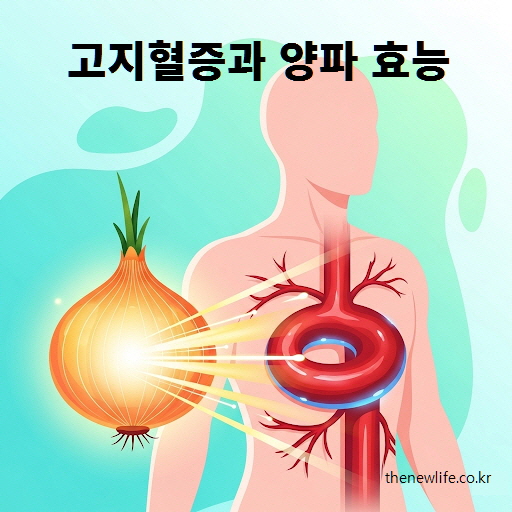 양파와 고지혈증을 대표하는 이미지