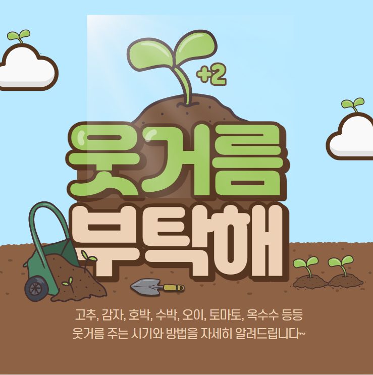 웃거름