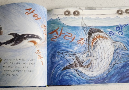 상어가 나타났다