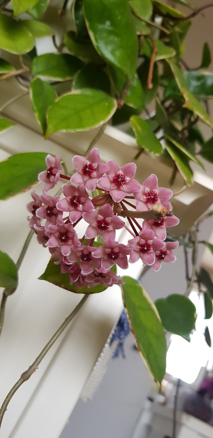 민생회복 소비쿠폰 2차 꼭 신청하세요:대상&middot;금액&middot;기간&middot;사용처 총정리 (2025)