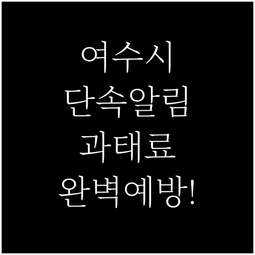 여수시 주정차 단속 알림 서비스 신청..