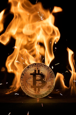 역대 미국 대선 발표 비트코인 영향 2024 예상 반응