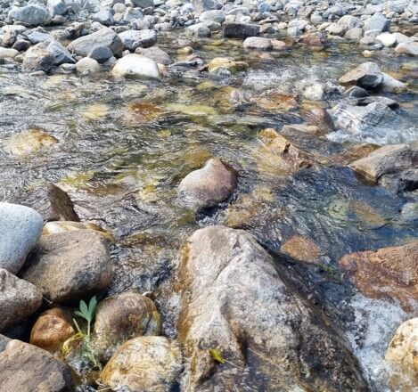 돌사이로-흐르는-계곡물