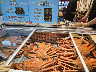 대게특별시