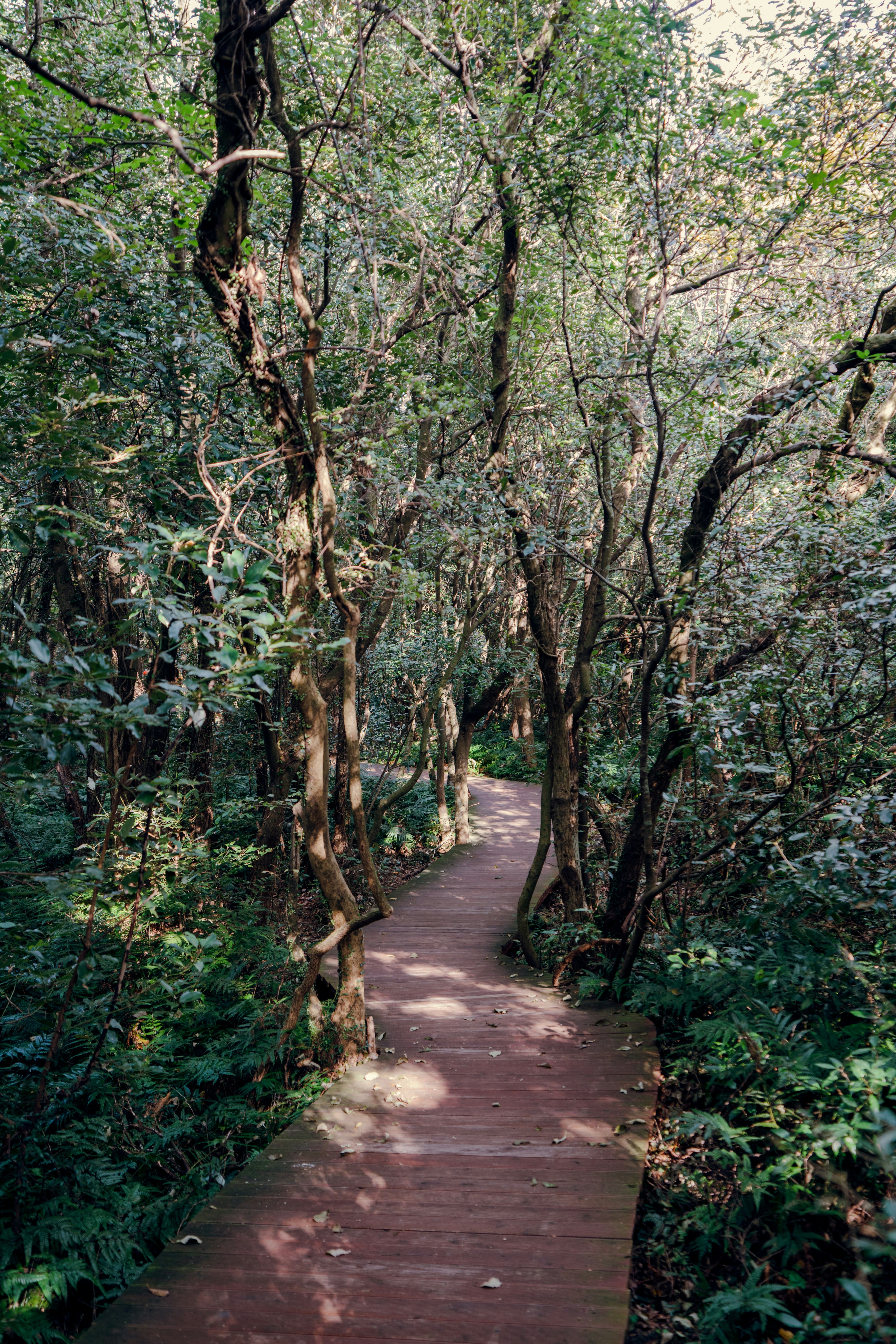 제주 로컬이 추천하는 숨은 명소 BEST 8
