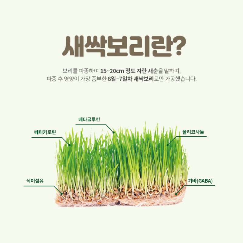 보리새싹분말