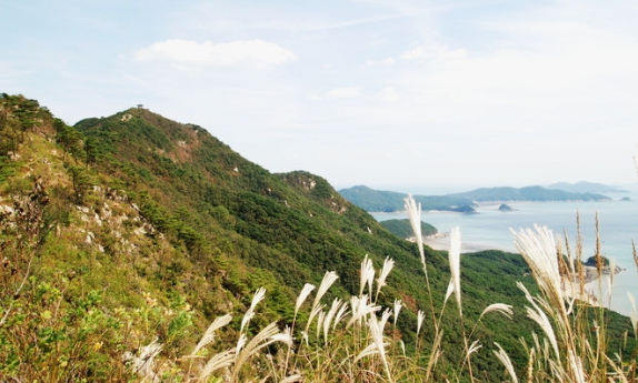 인천/명품/단풍/명소