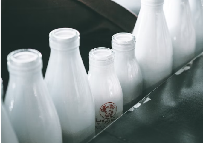 1. 단백질 풍부한 음식