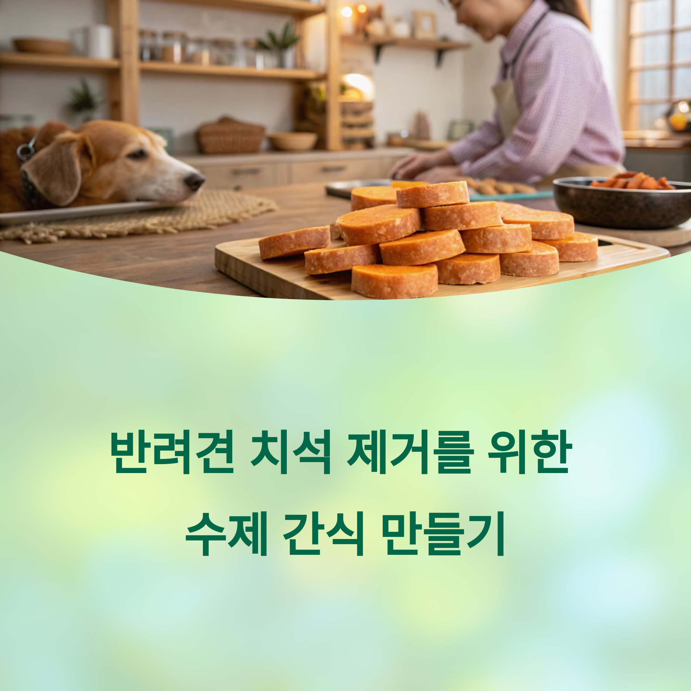 수제 딱딱한 간식 만들기