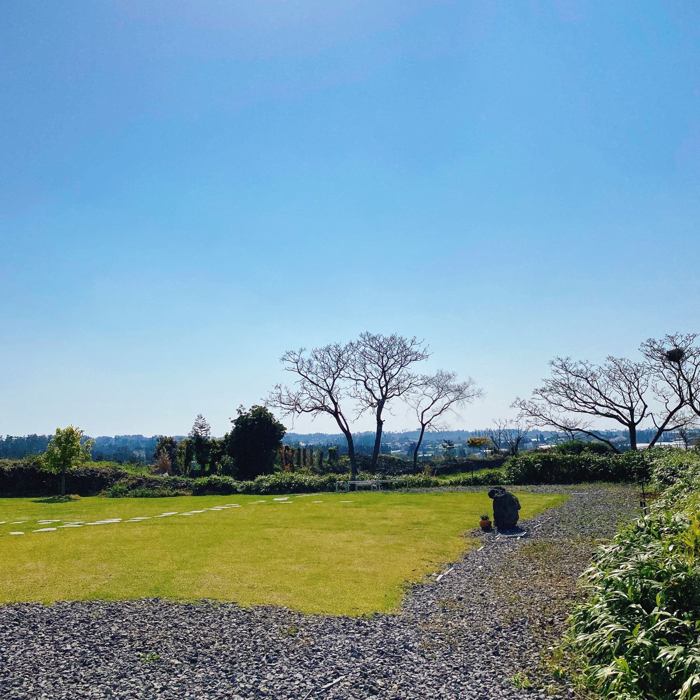 제주 애월 장전리 왕벚꽃거리 근처 문태준 시인 카페 오롬마르