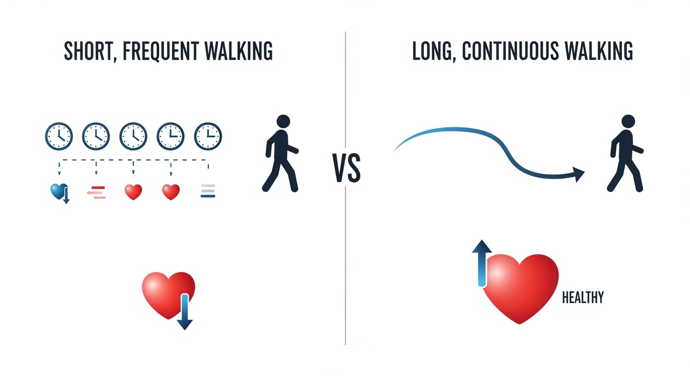 걷기 운동을 짧게 자주 하는 사람과 10분 이상 연속으로 하는 사람을 비교하는 인포그래픽