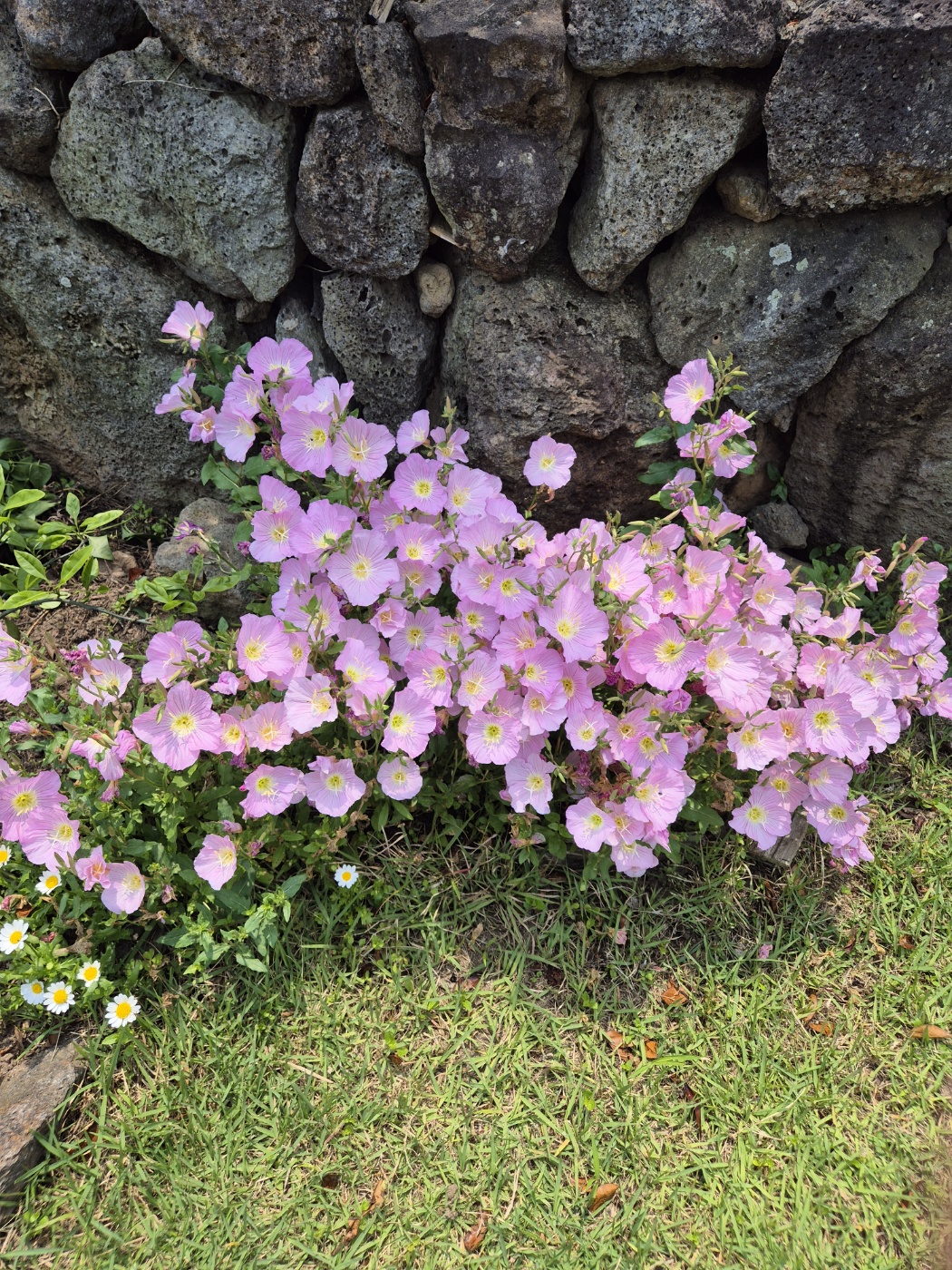 2025 청주시 희망저축계좌 지원금, 지금 신청하세요