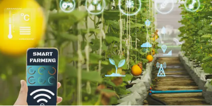 도시 농업의 혁신: 스마트 농업이 도시를 변화시키는 방법