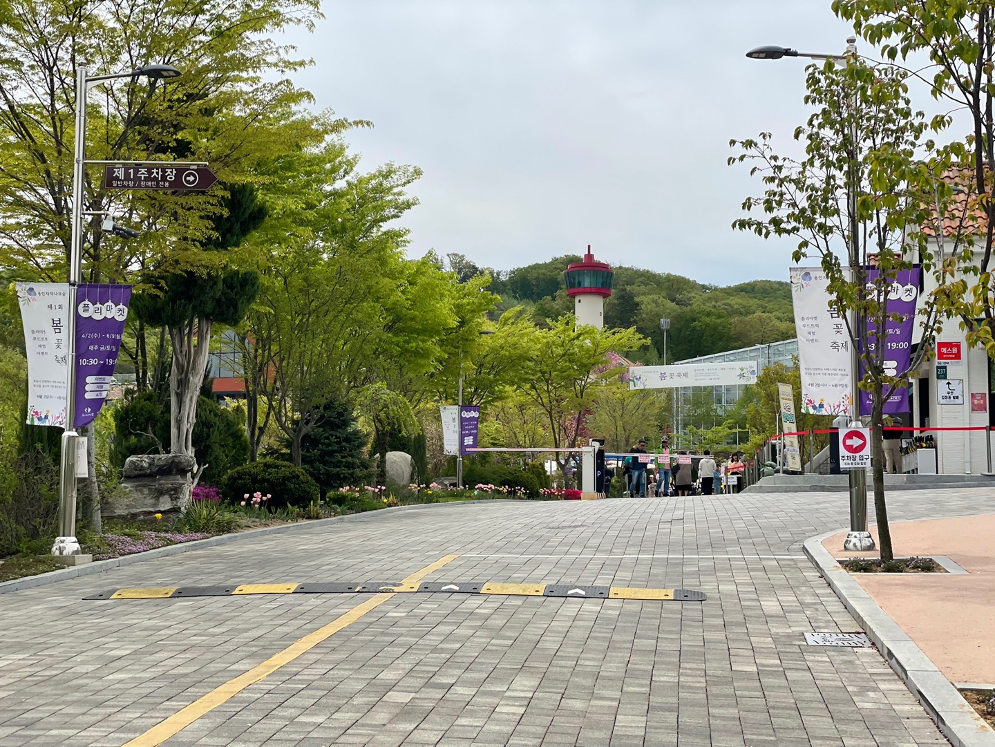 용인 자작나무숲 베툴라 대형 베이커피 카페