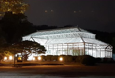 서울 고궁 야간개장