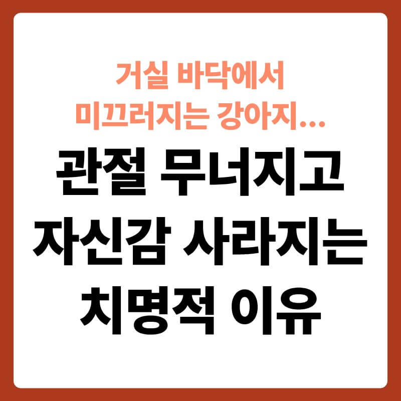 매끄러운 거실 마룻바닥 위에서 뒷다리가 양옆으로 미끄러져 주저앉아 있는 강아지의 뒷모습