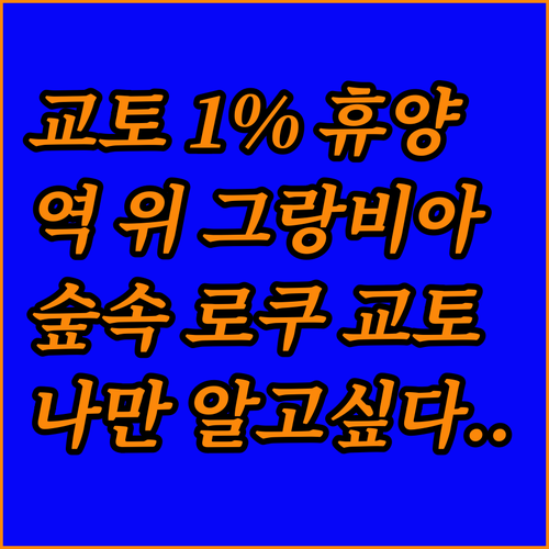 교토역 바로 위 그랑비아부터 숲속 로..
