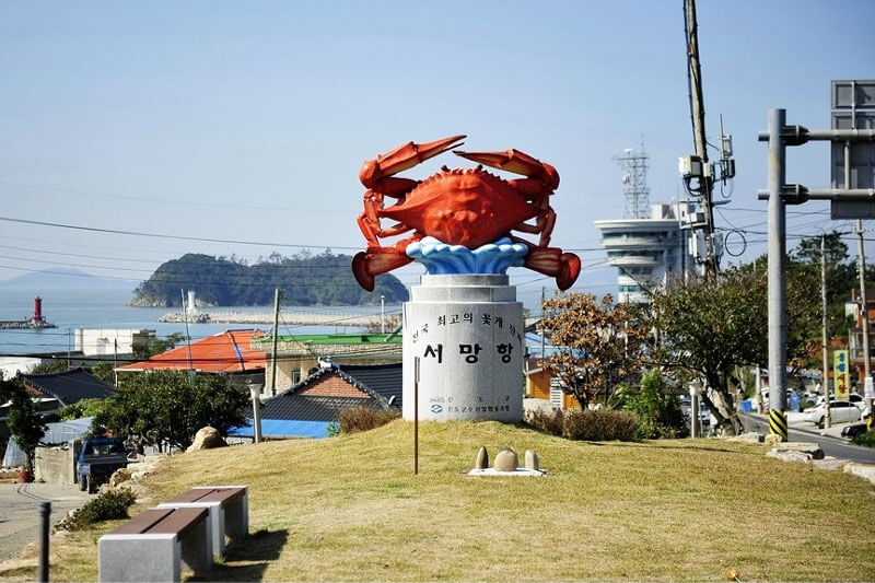 극한직업 진도 꽃게 택배 주문하기 