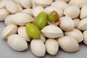 은행 열매 가격 및 효능, 영양성분과 부작용