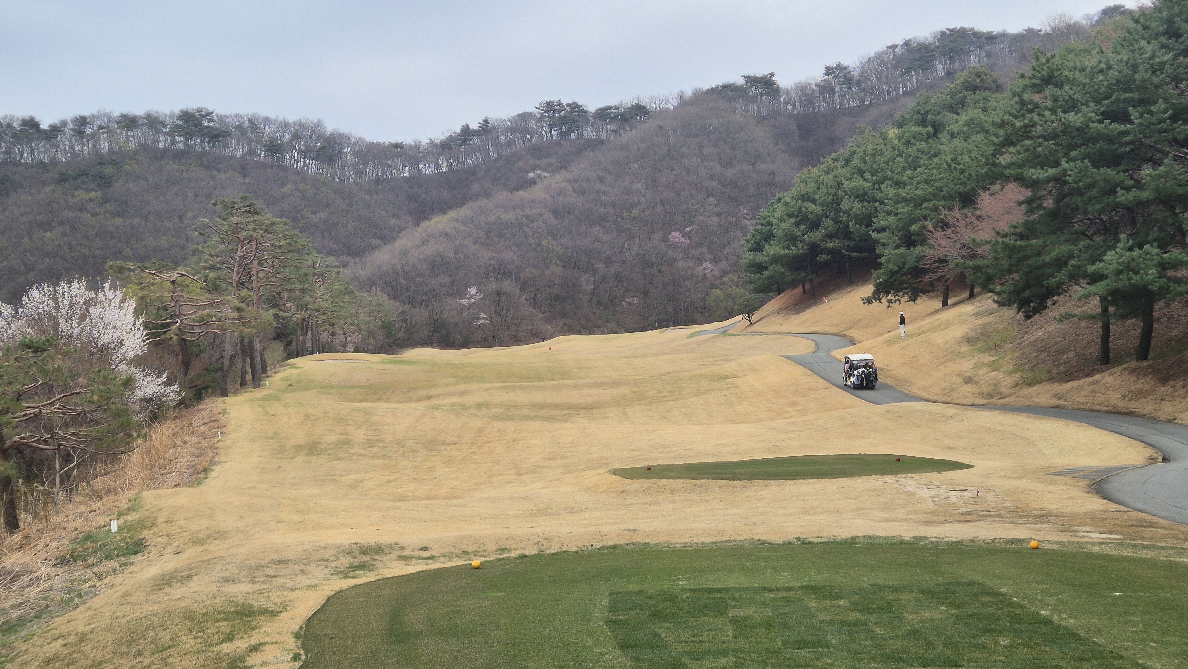 안성베네스트gc 동-남 코스 사진 및 공략 정보