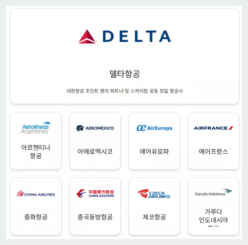 스카이팀 제휴항공사