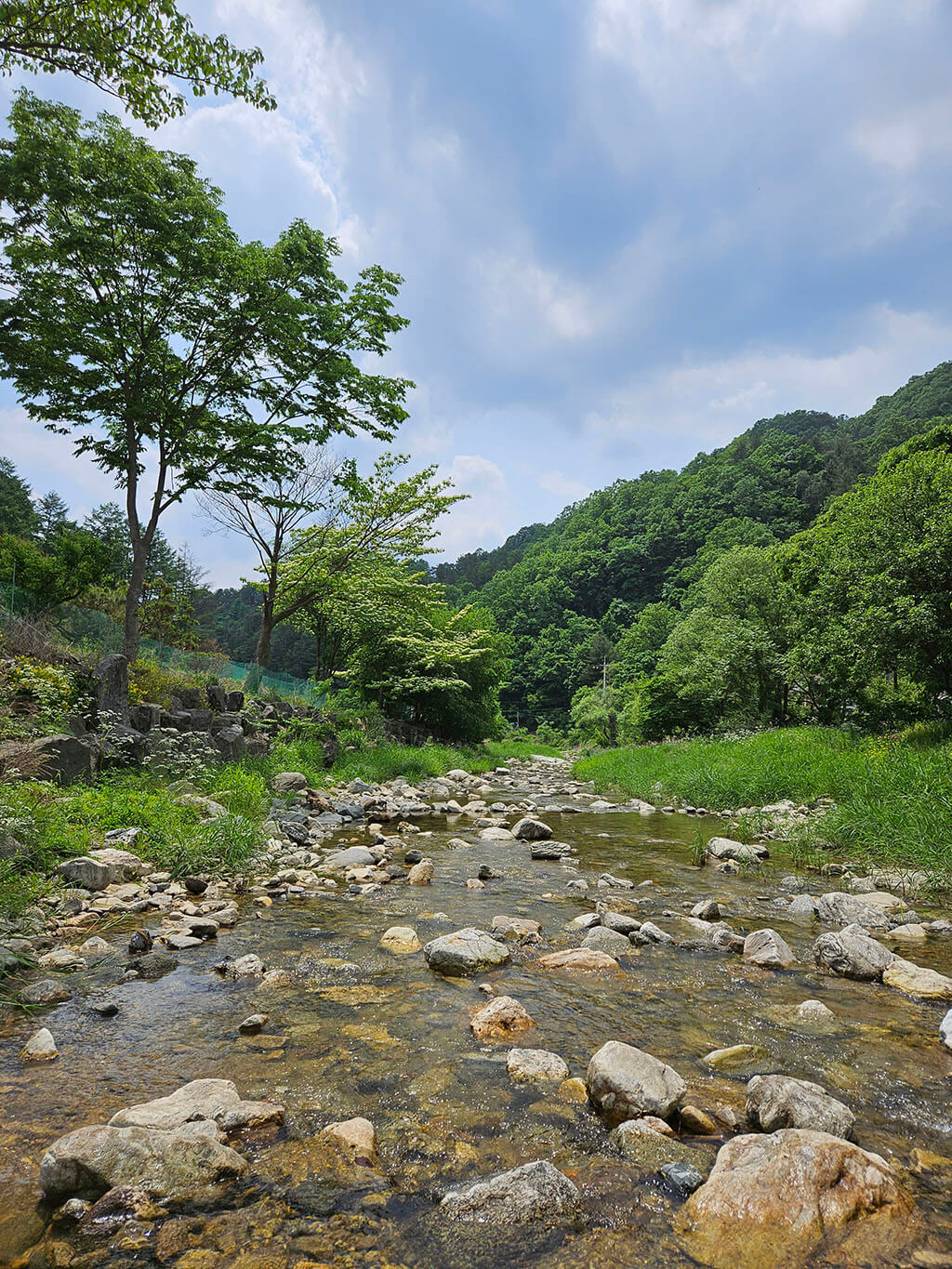 캠핑장 계곡