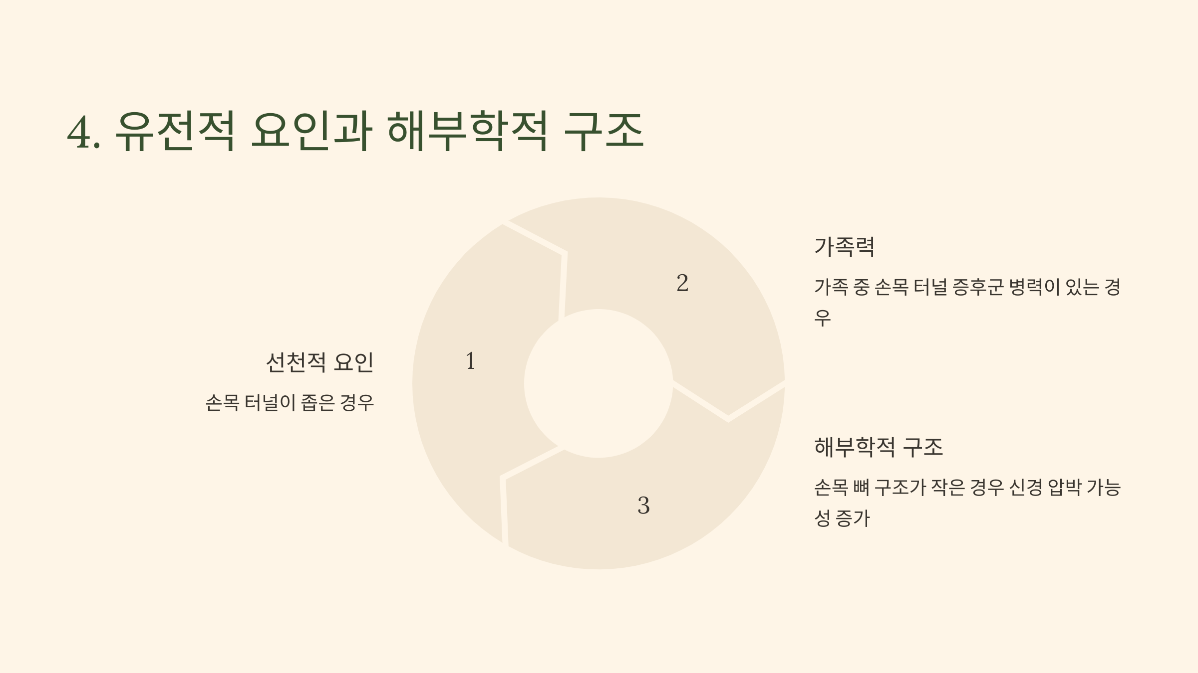 4. 유전적 요인과 해부학적 구조