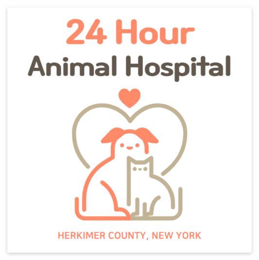 24 Hour Animal Hospitals in Herkimer NY