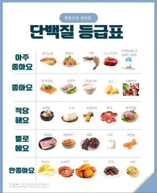 단백질 많은 음식 효능 효과
