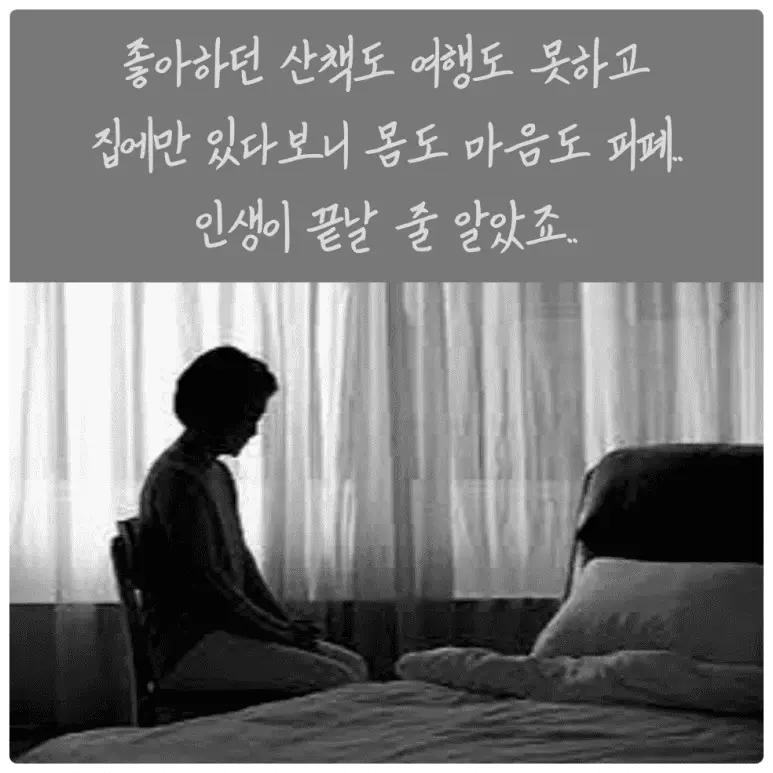 무릎관절영양제