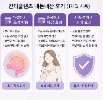 칸디클렌즈-내돈내산-메디온-성분-효능-y존-효과
