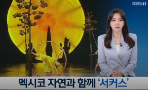 태양의 서커스 부산 예매, 명당