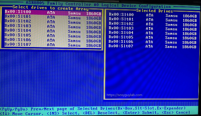 RAID 구성 디스크 선택 화면
