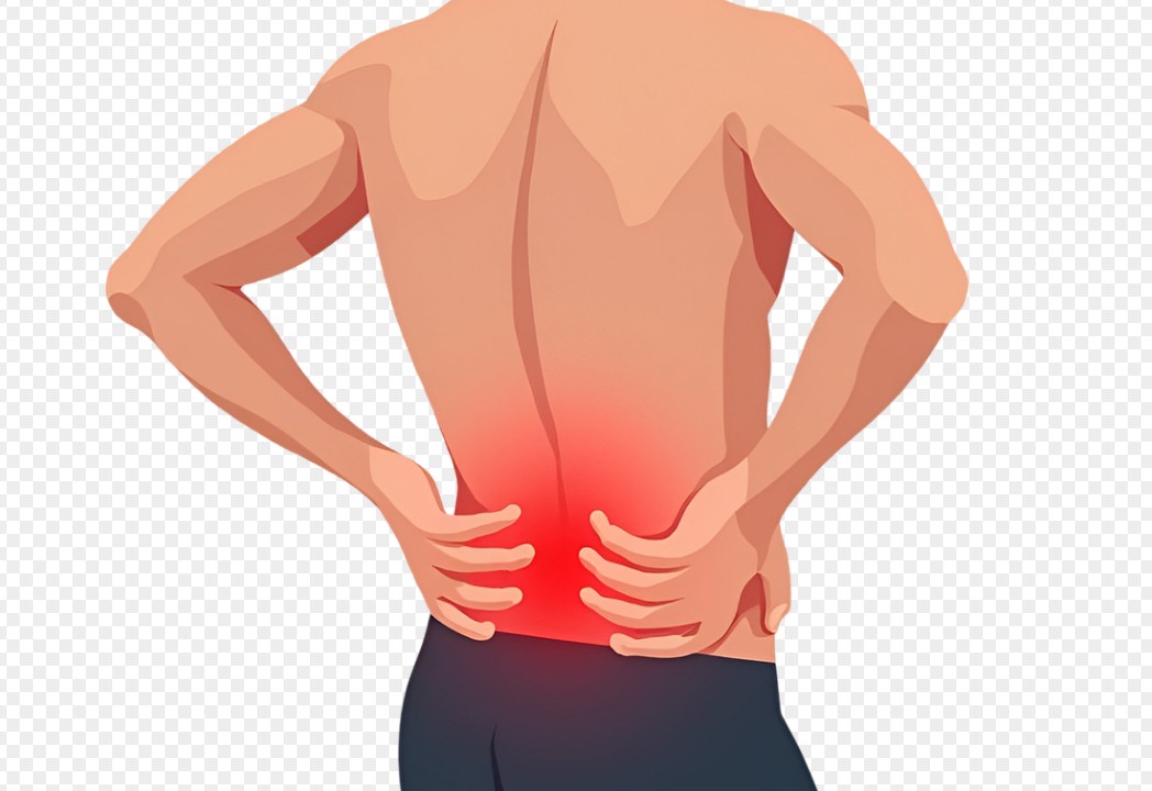 커큐민 효능-대사