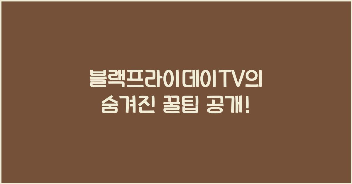 블랙프라이데이TV