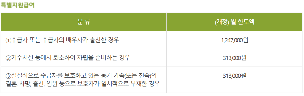 특별지원급여 목록