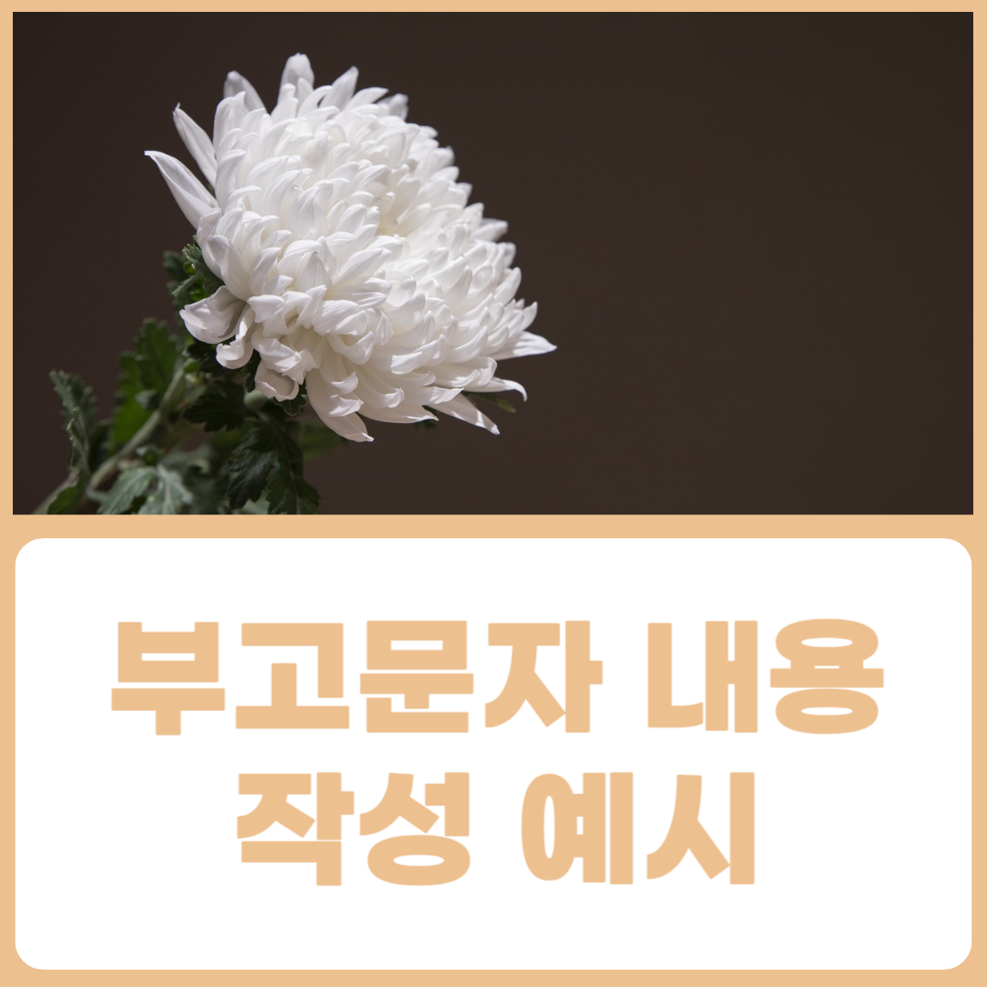 부고문자