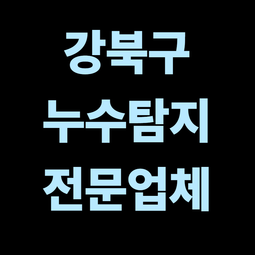 강북구 누수탐지 전문업체