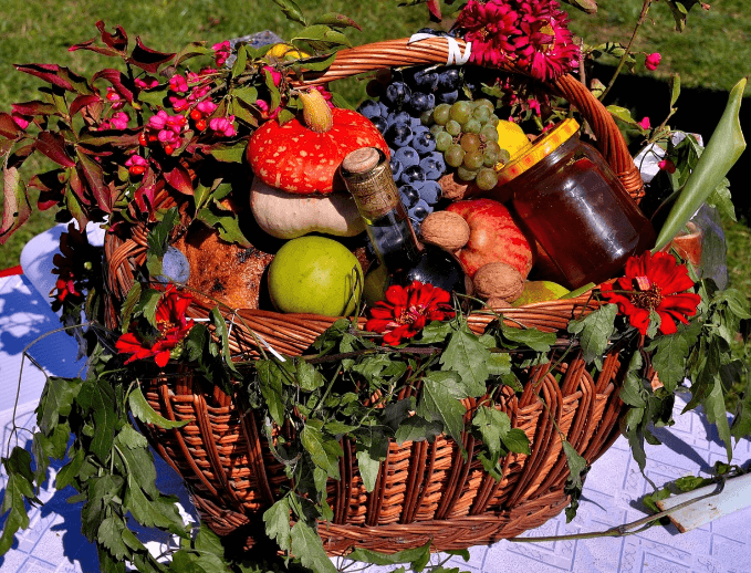 20대에 꼭 필요한 영양제 BEST 7 건강한 습관의 시작