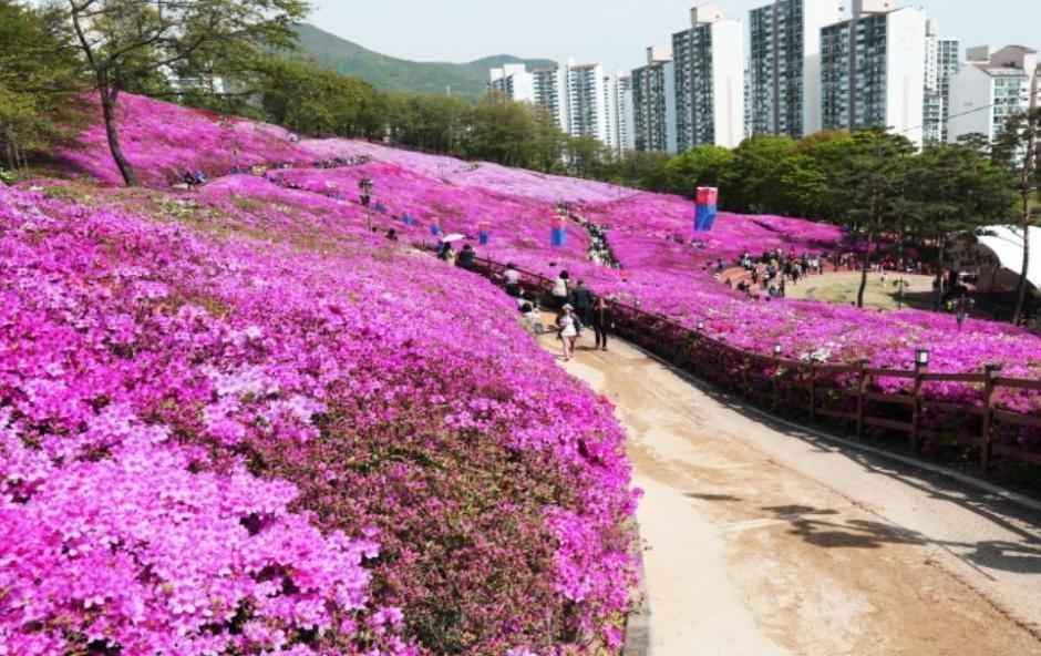 철쭉동산